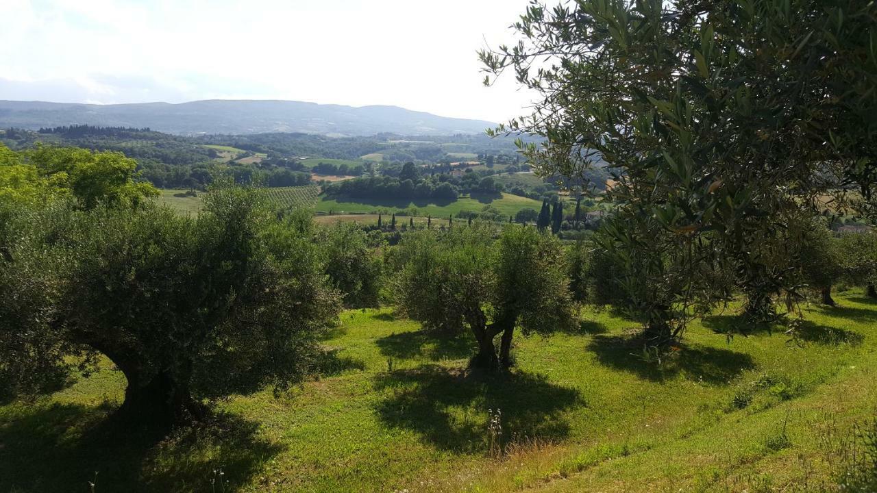 Montevenere 83 Villa Chiusi Bagian luar foto
